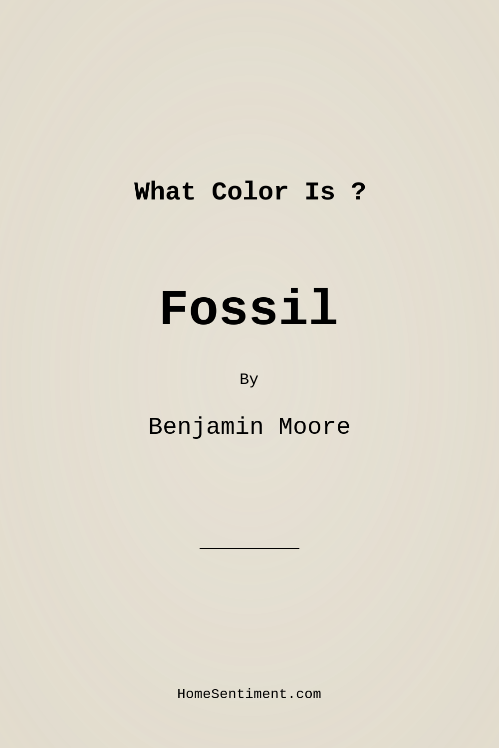 Fossil AF-65 by Benjamin Moore