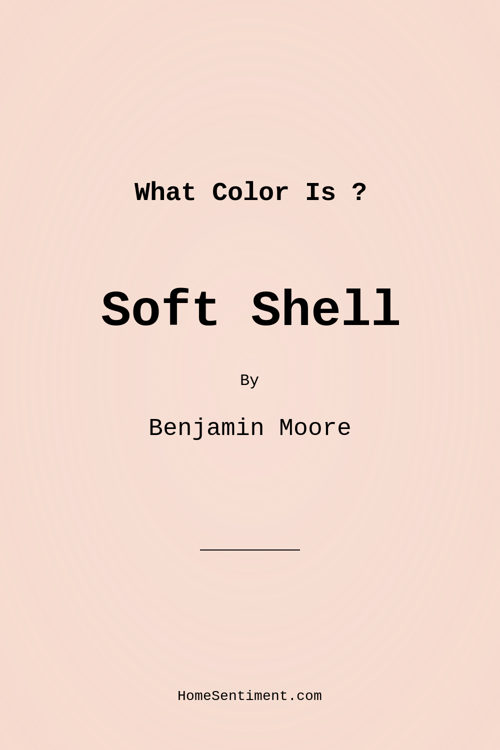 Soft Shell 15 by Benjamin Moore