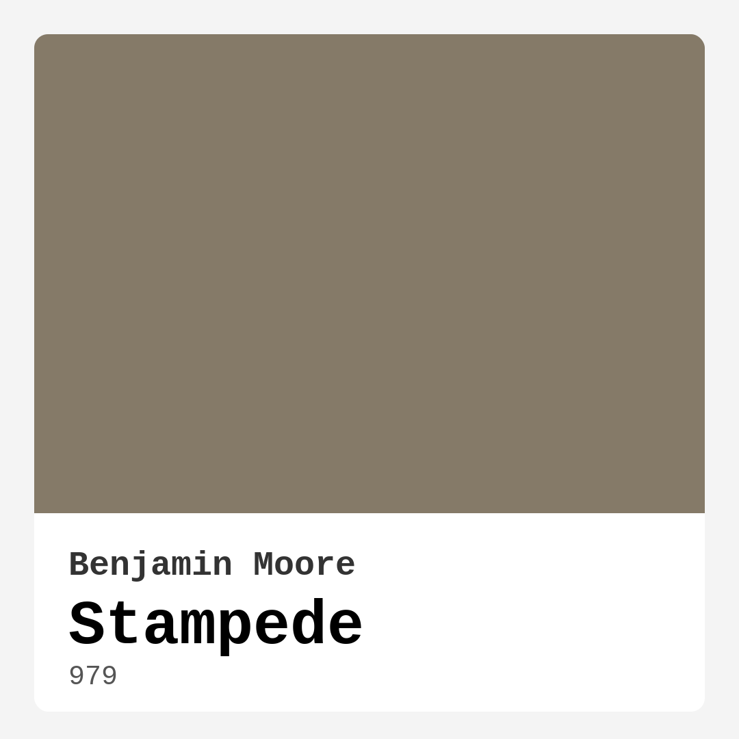 Stampede 979 by Benjamin Moore