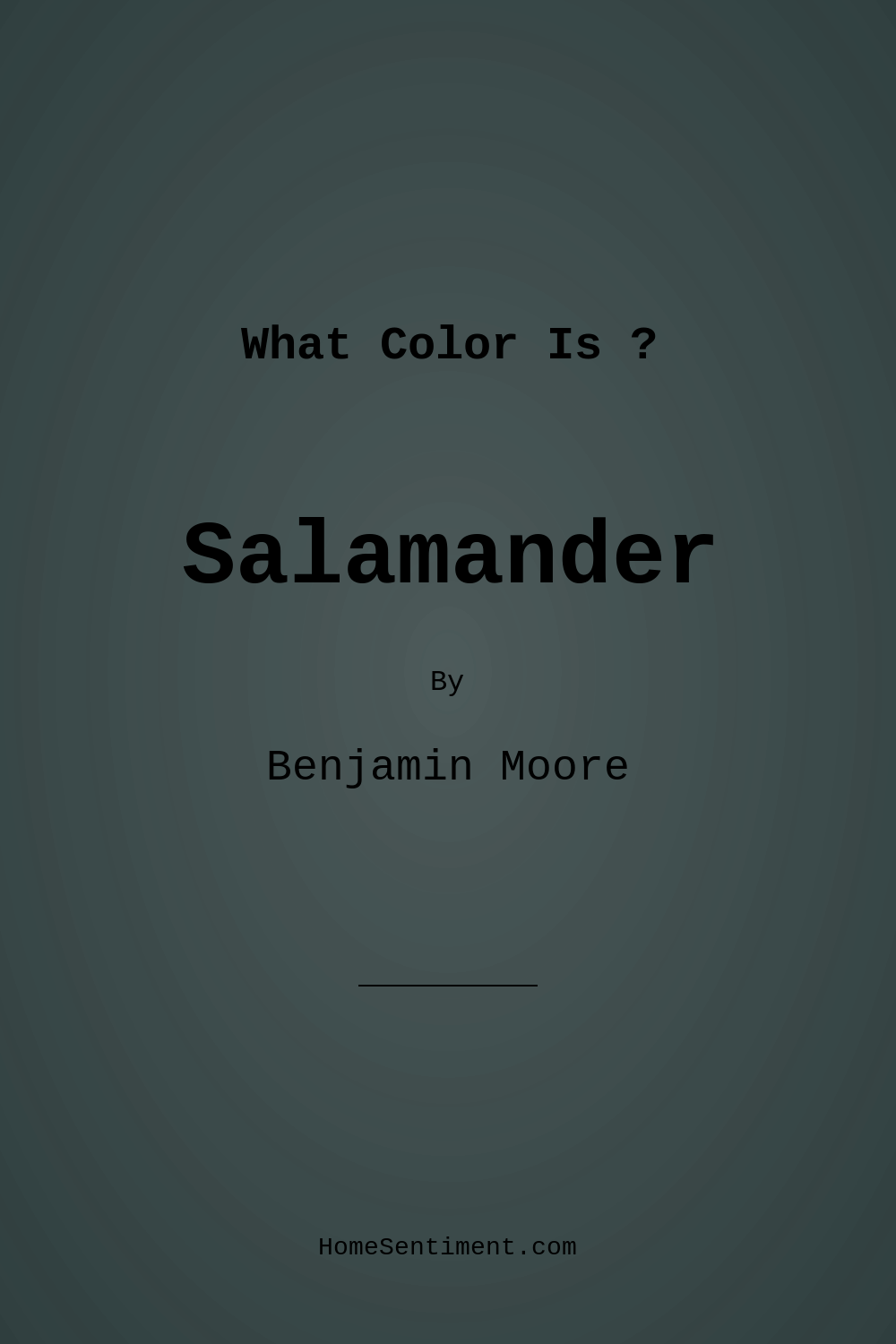 Salamander 2050-10 by Benjamin Moore