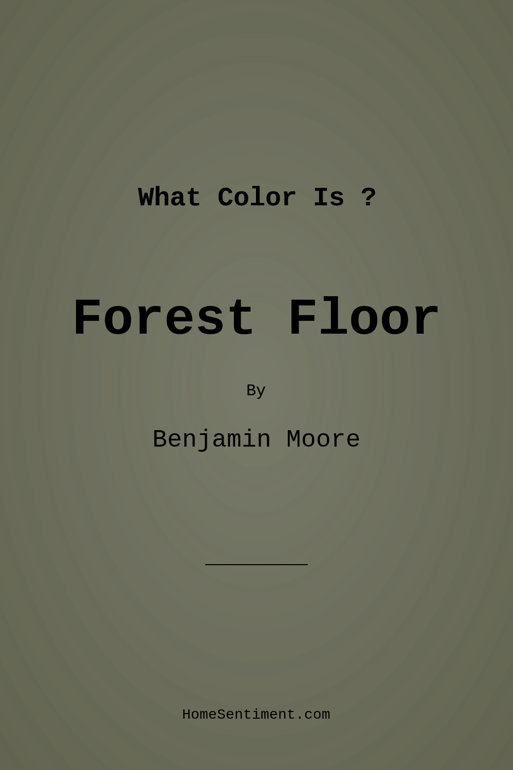 Forest Floor 1498 by Benjamin Moore