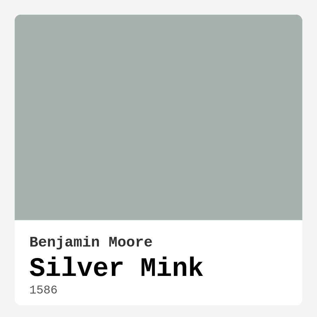 Silver Mink 1586 by Benjamin Moore