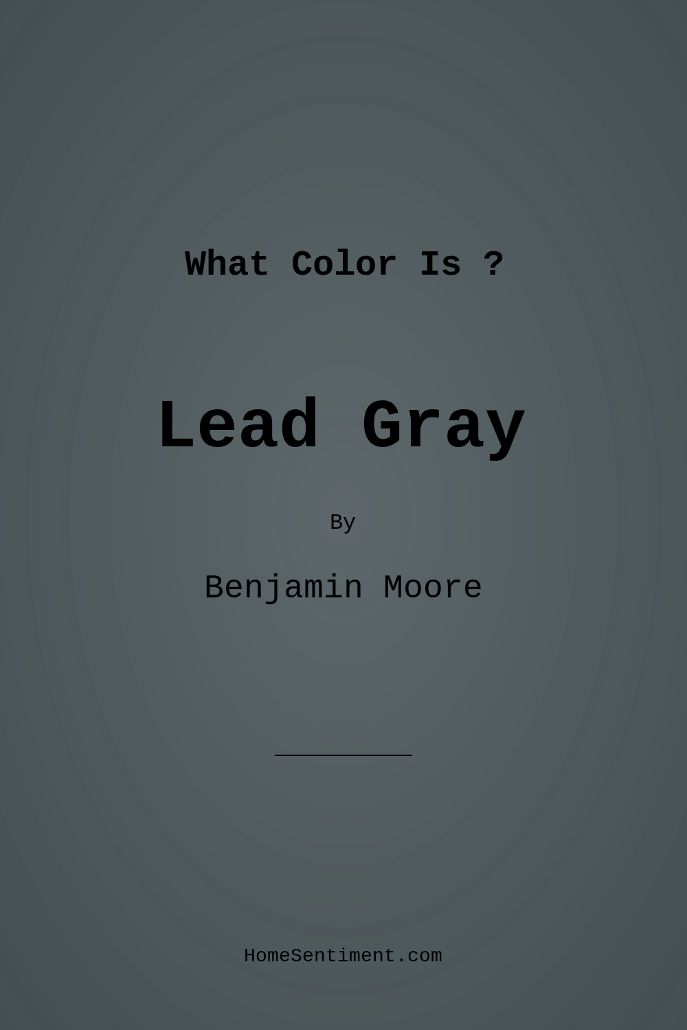 Lead Gray 2131-30 by Benjamin Moore