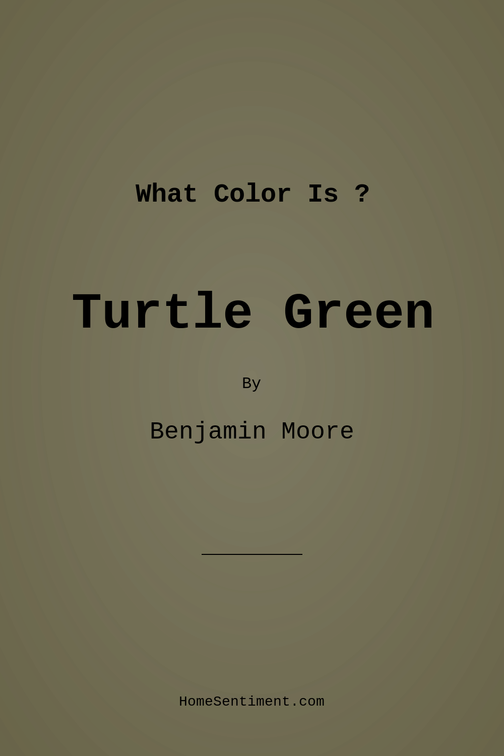 Turtle Green 2142-20 by Benjamin Moore