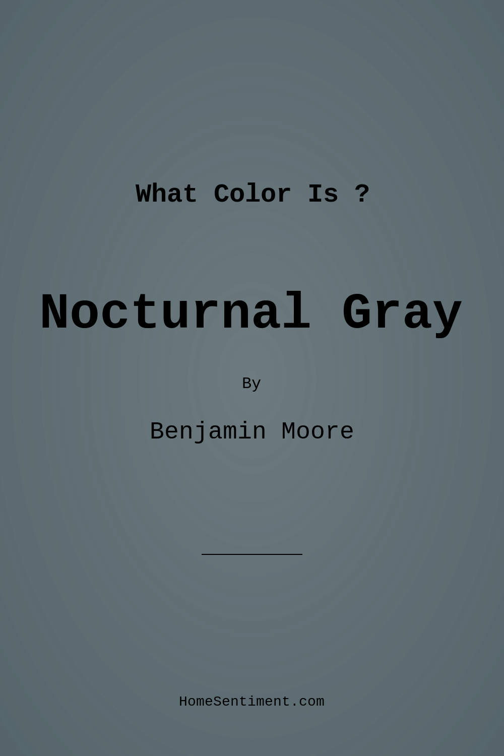 Nocturnal Gray 2135-30 by Benjamin Moore