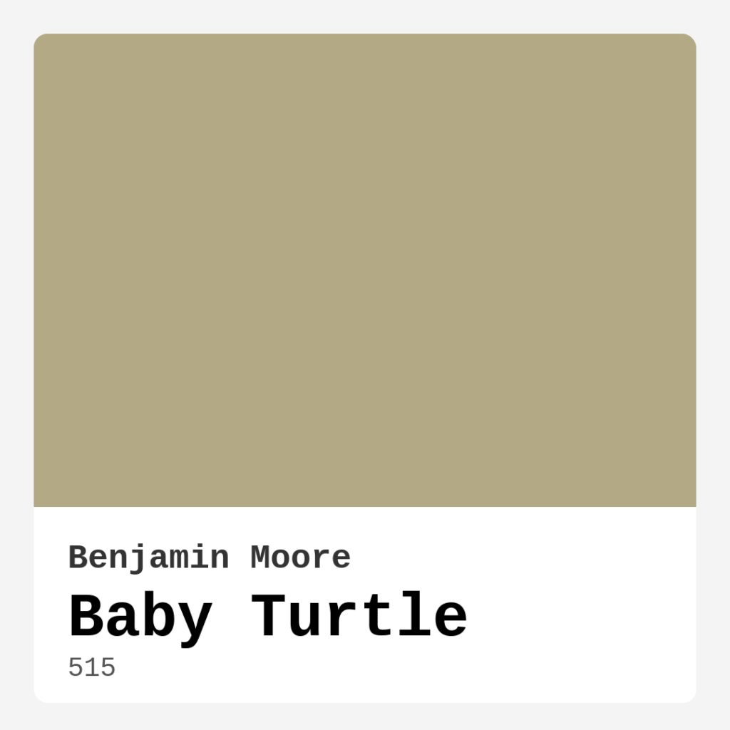 Baby Turtle 515 by Benjamin Moore