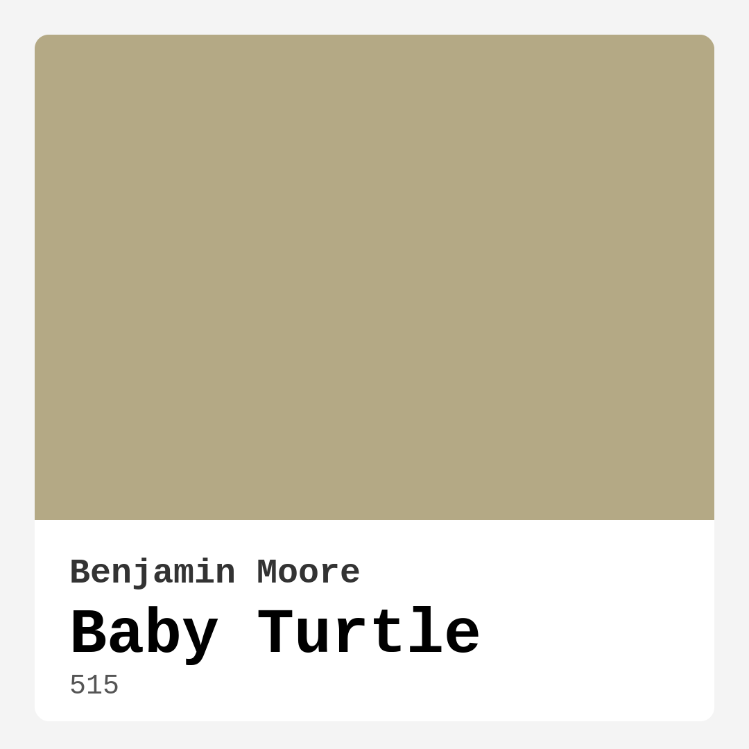 Baby Turtle 515 by Benjamin Moore