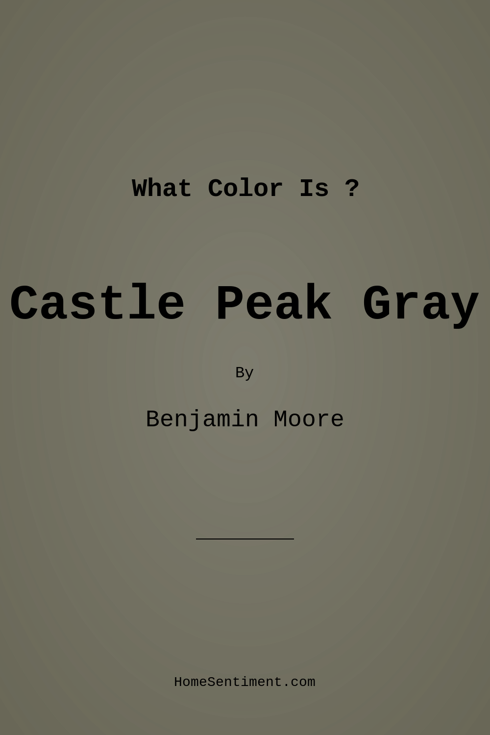 Castle Peak Gray 1561 by Benjamin Moore