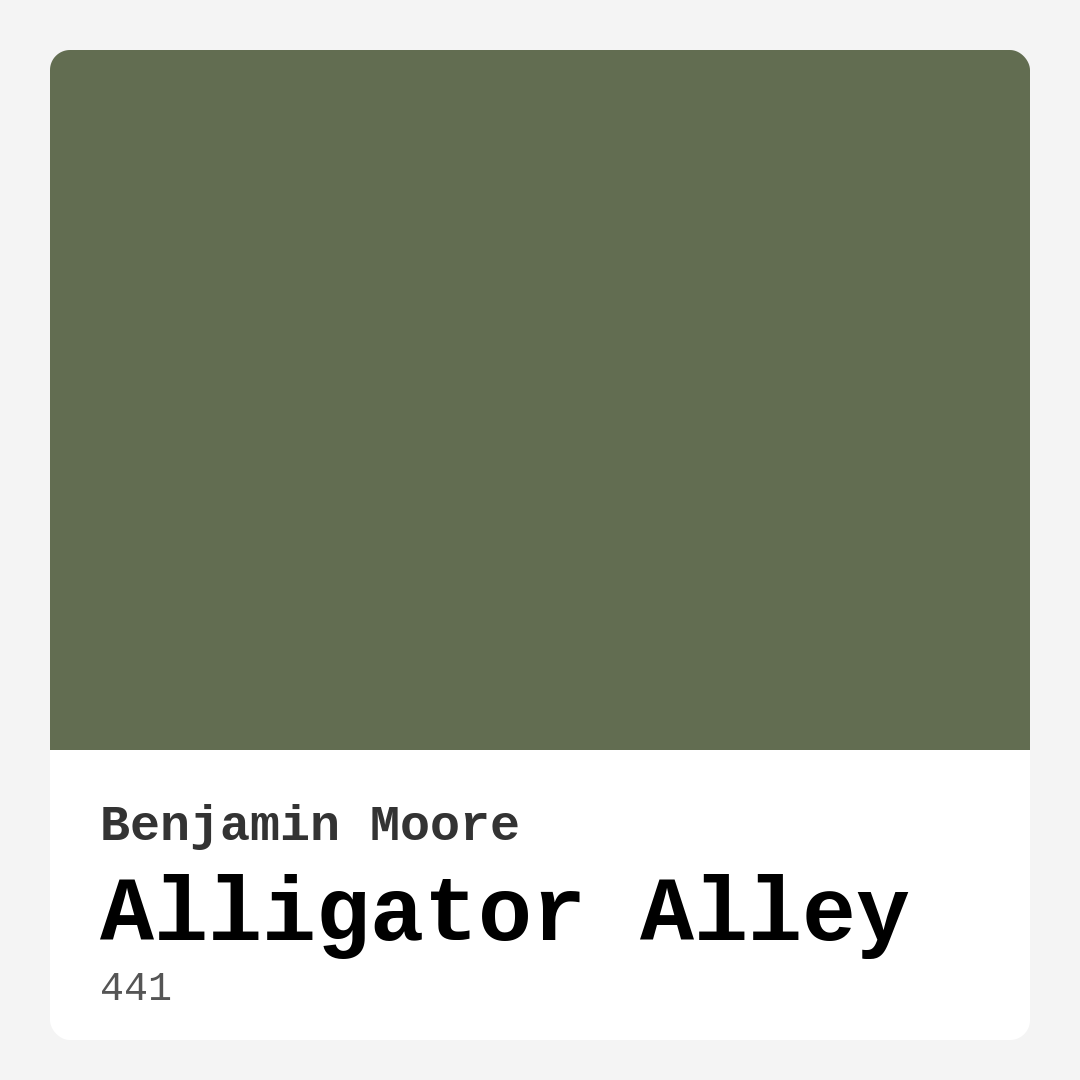 Alligator Alley 441 by Benjamin Moore