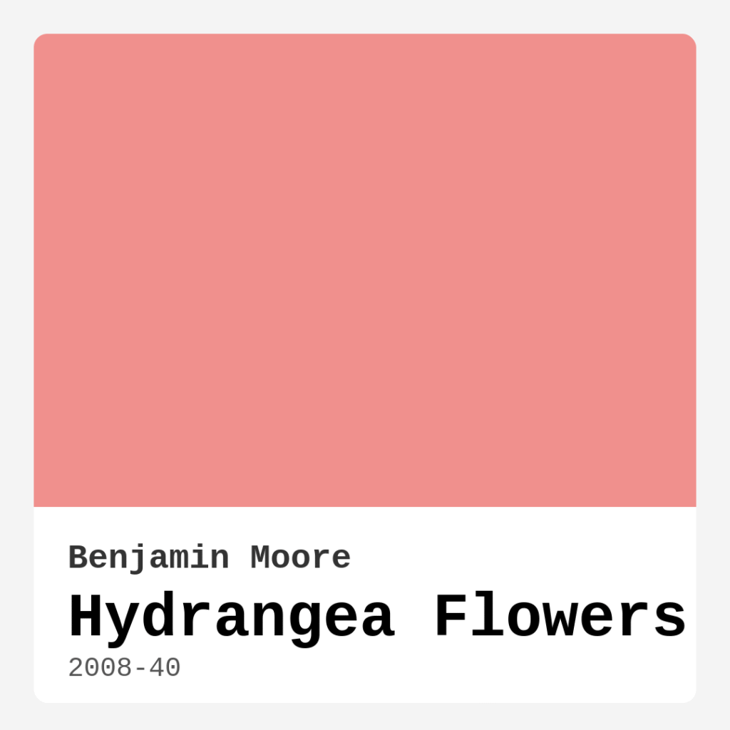 Hydrangea Flowers 2008-40 by Benjamin Moore