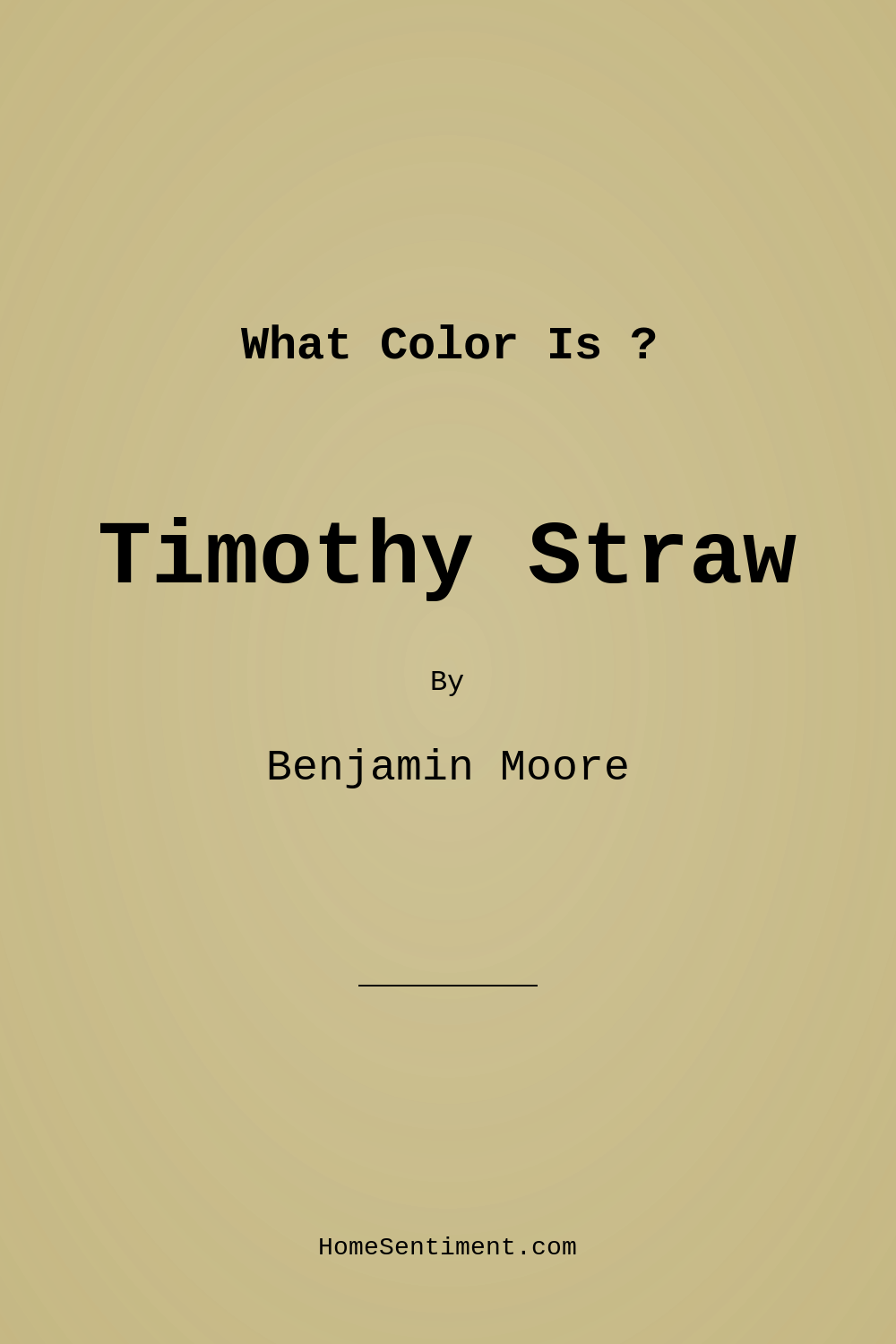 Timothy Straw 2149-40 by Benjamin Moore