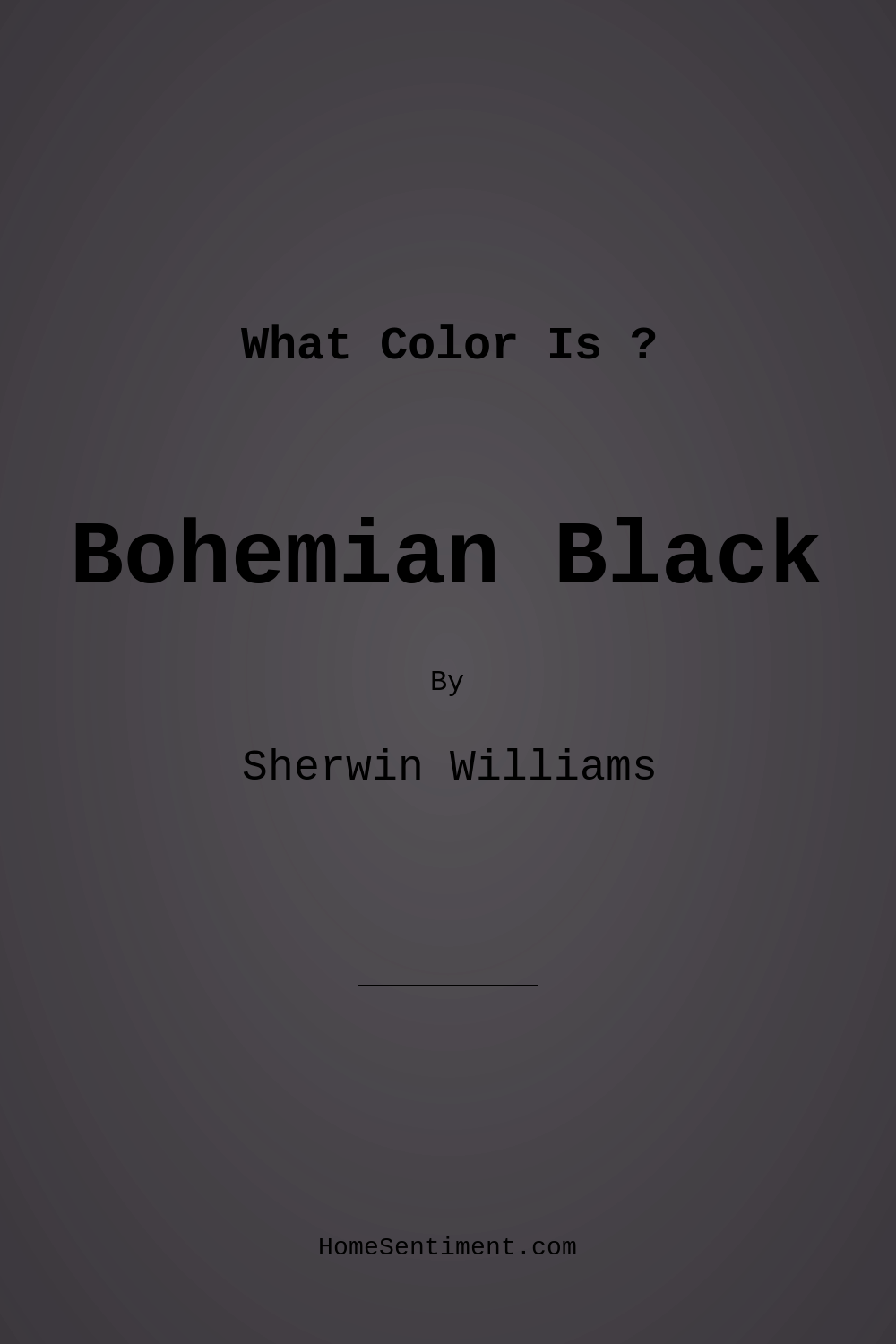 Bohemian Black SW 6988 by Sherwin Williams