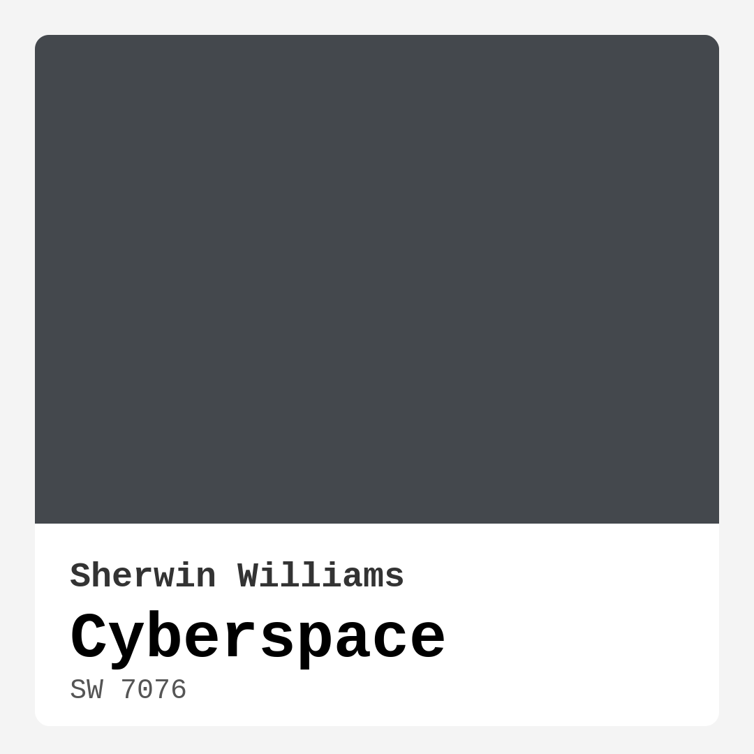 Cyberspace SW 7076 by Sherwin Williams