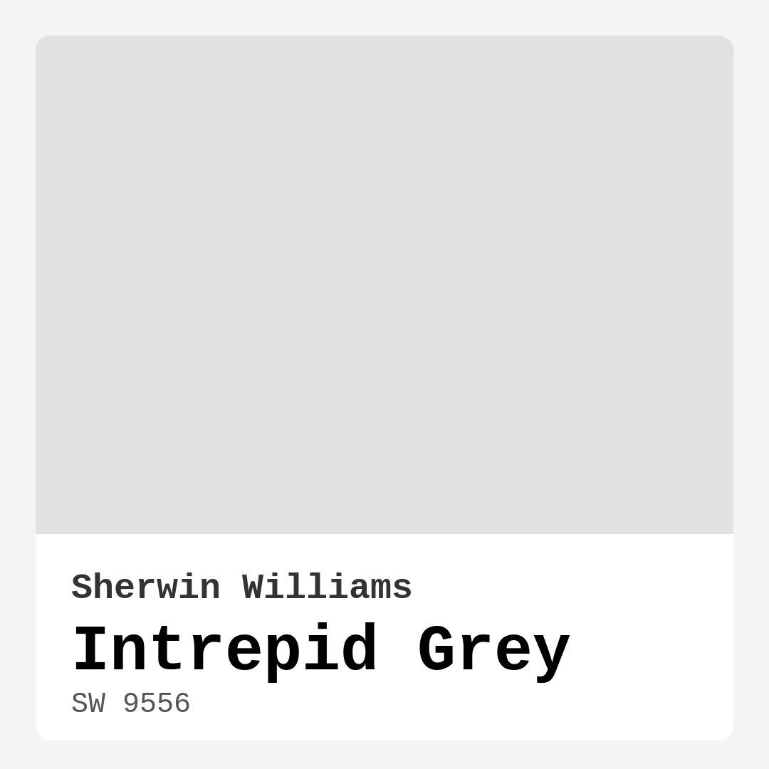 Intrepid Grey SW 9556 by Sherwin Williams