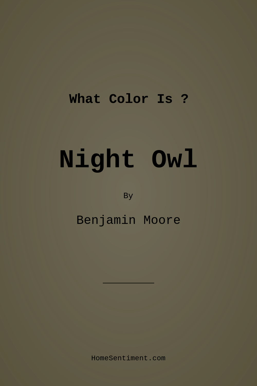 Night Owl CC-662 by Benjamin Moore
