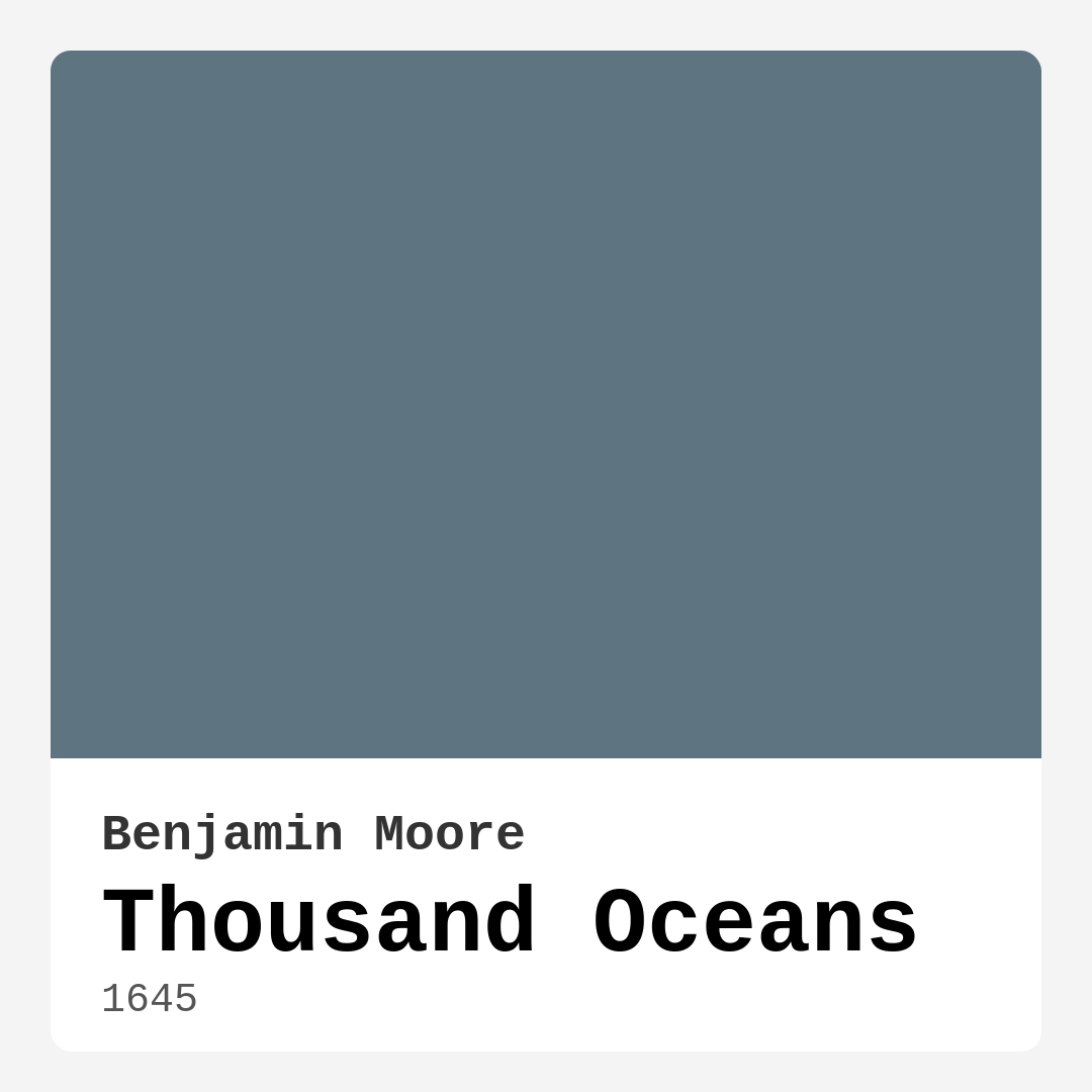 Thousand Oceans 1645 by Benjamin Moore