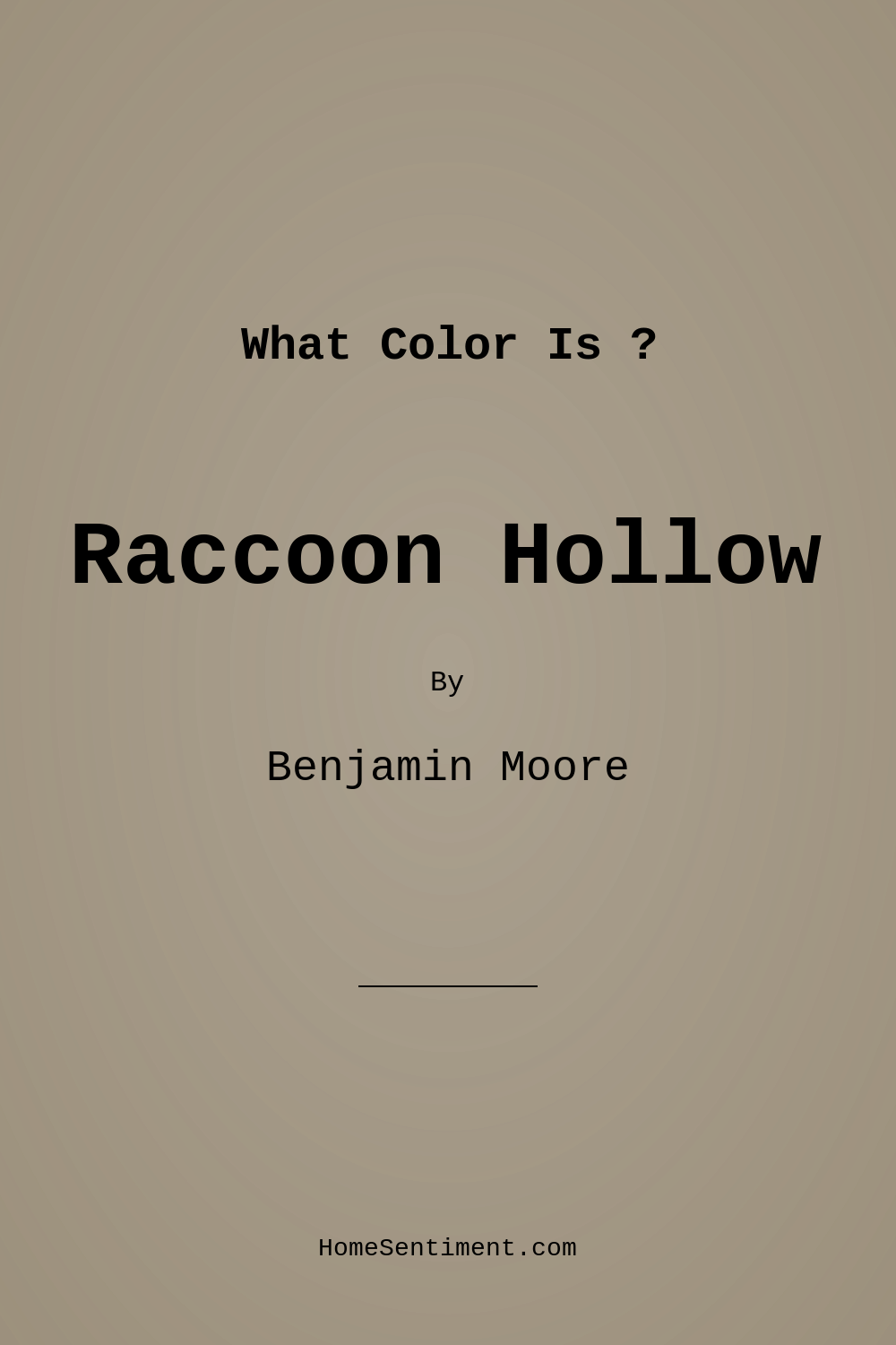 Raccoon Hollow 978 by Benjamin Moore