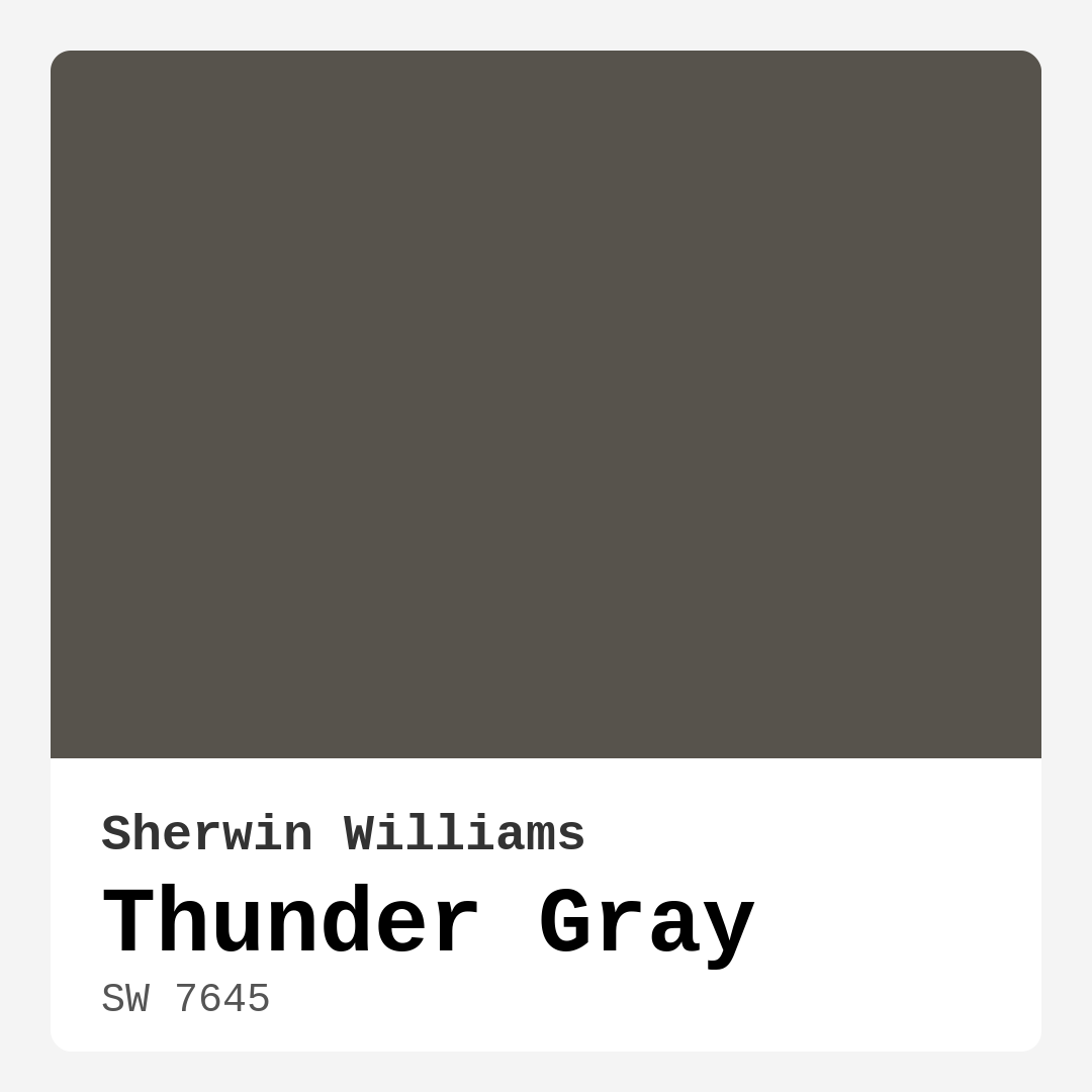 Thunder Gray SW 7645 by Sherwin Williams