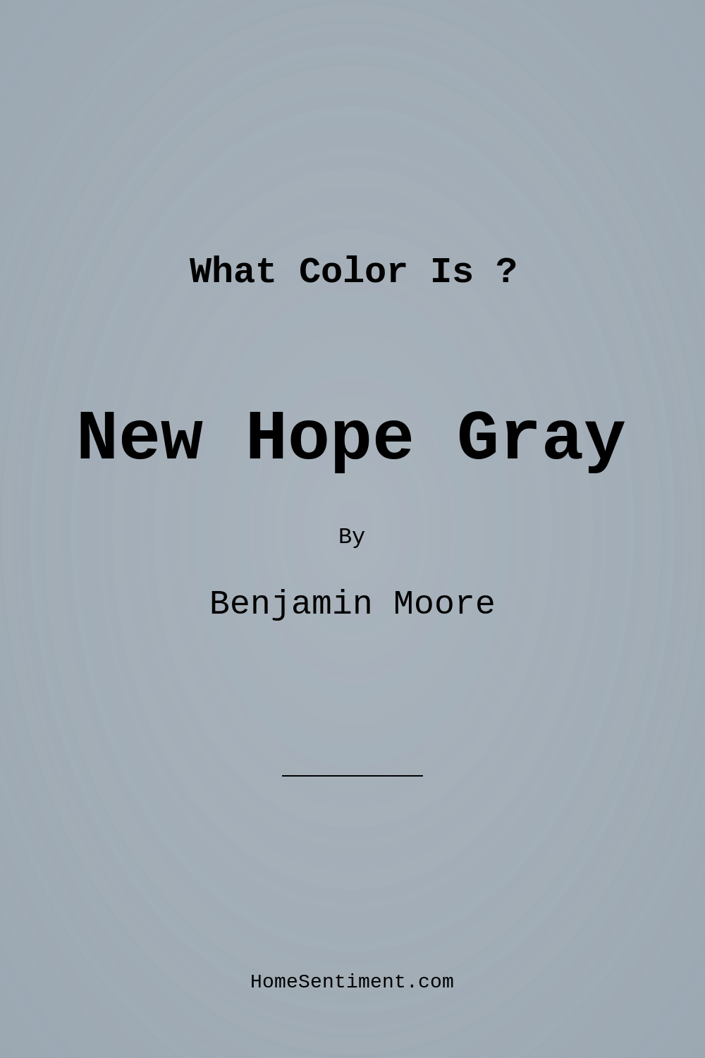 New Hope Gray 2130-50 by Benjamin Moore