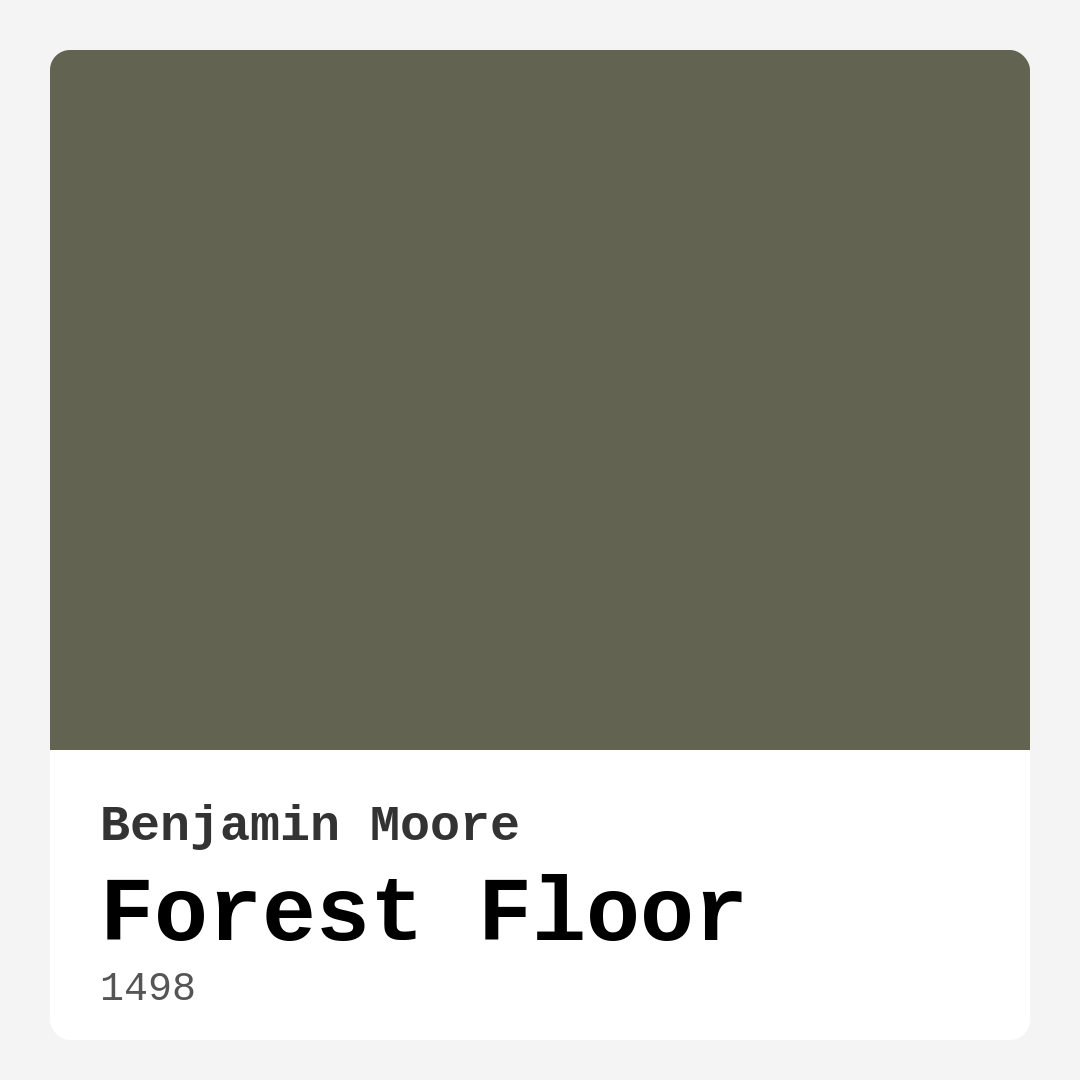 Forest Floor 1498 by Benjamin Moore