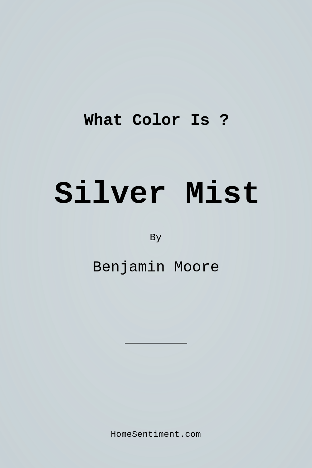 Silver Mist 1619 by Benjamin Moore