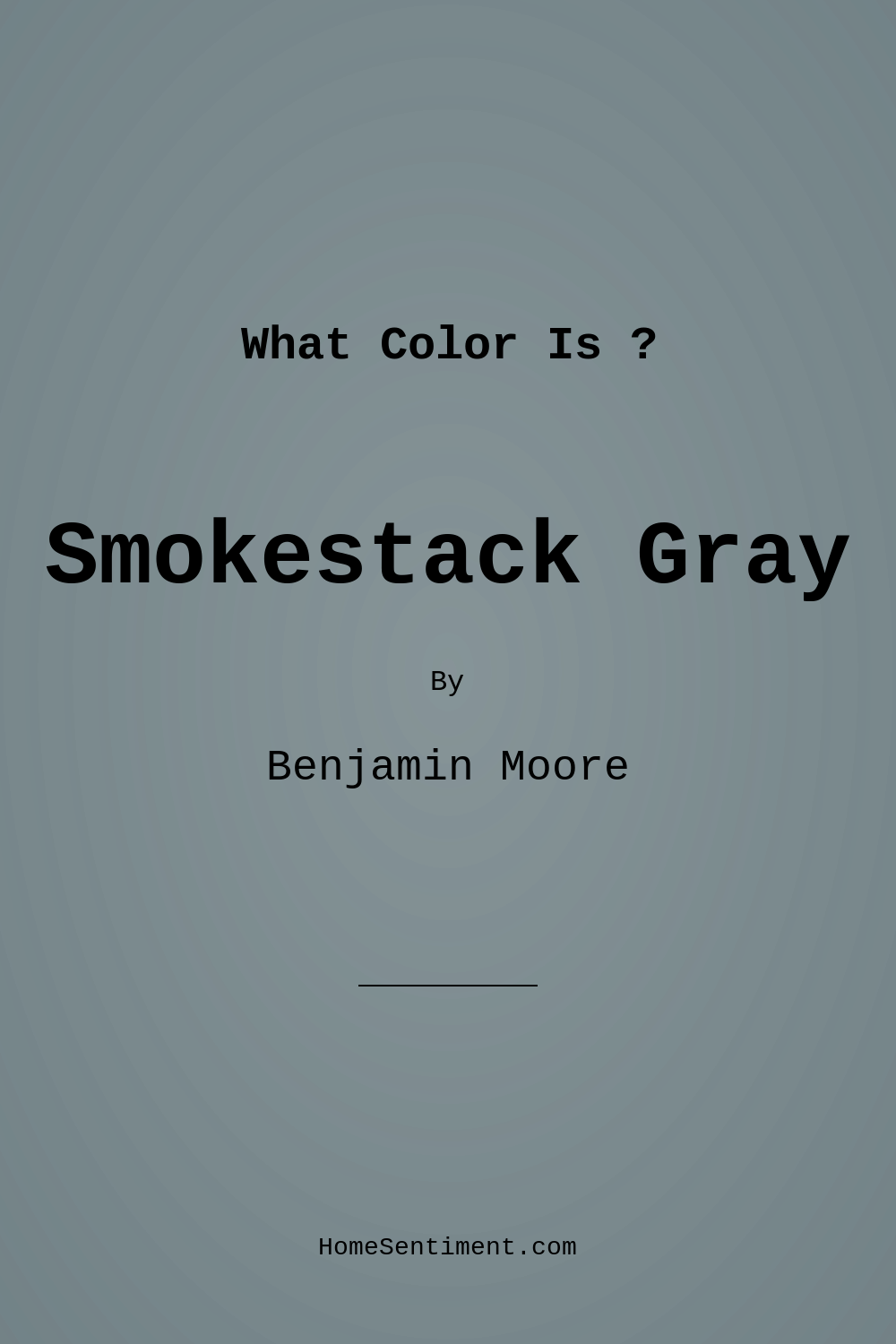 Smokestack Gray 2131-40 by Benjamin Moore