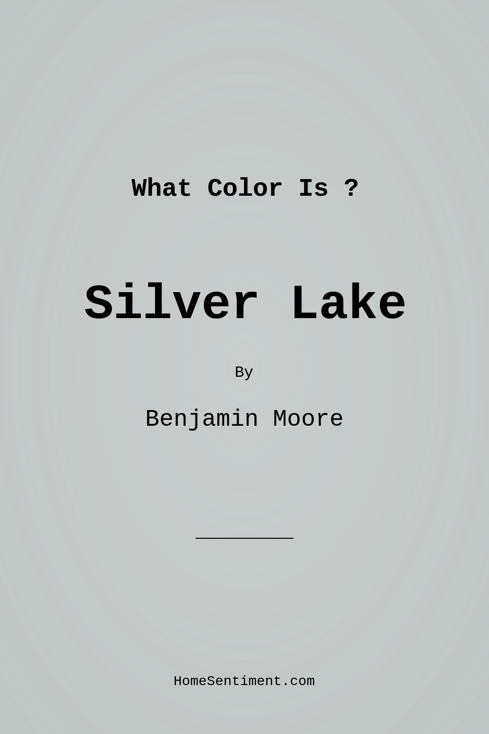 Silver Lake 1598 by Benjamin Moore