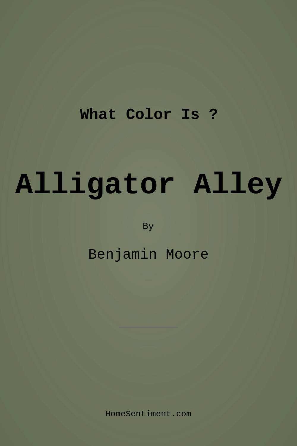 Alligator Alley 441 by Benjamin Moore