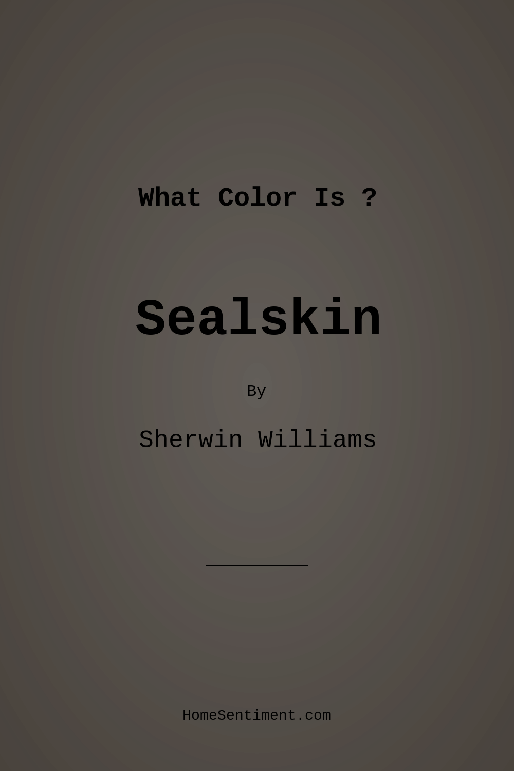 Sealskin SW 7675 by Sherwin Williams