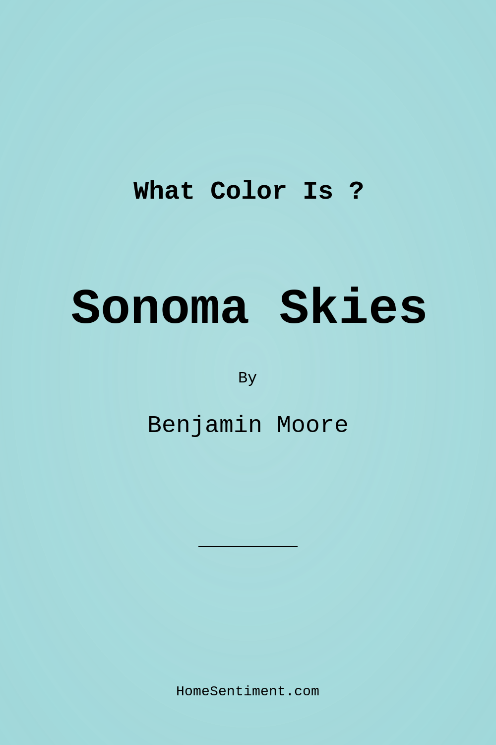 Sonoma Skies 737 by Benjamin Moore
