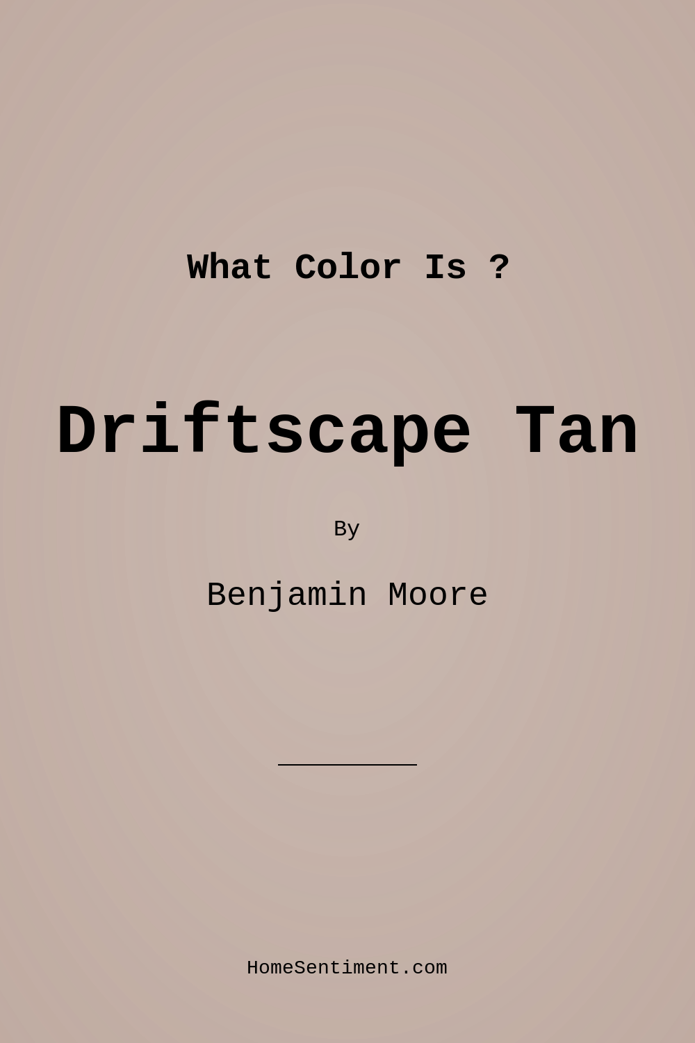 Driftscape Tan 2106-50 by Benjamin Moore