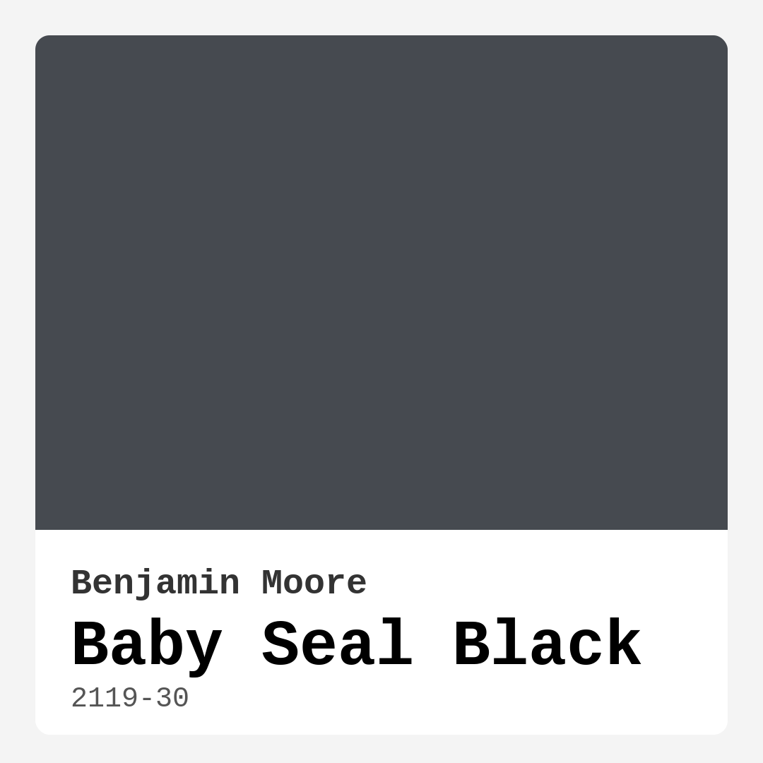 Baby Seal Black 2119-30 by Benjamin Moore